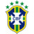 Brazil Icon